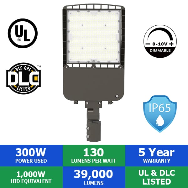 What is the input voltage range for this light?