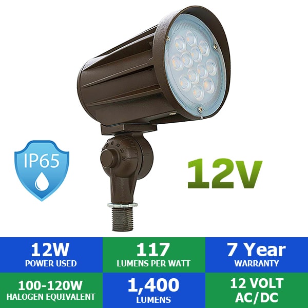 What kind of mounting options does the light have?