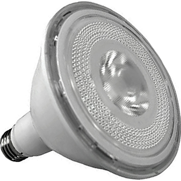 What is the warranty period for this bulb?