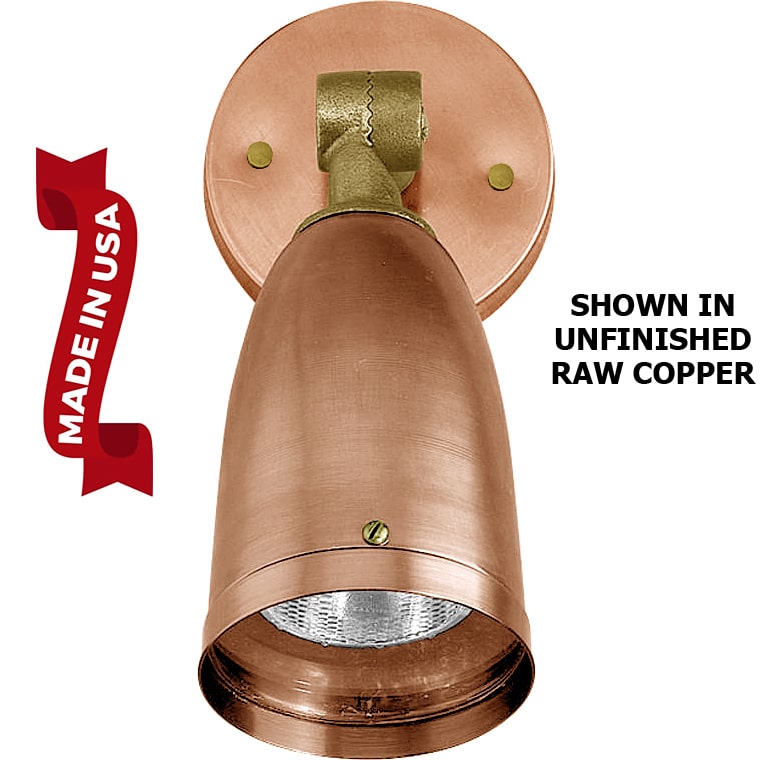 What is the voltage option for this light?