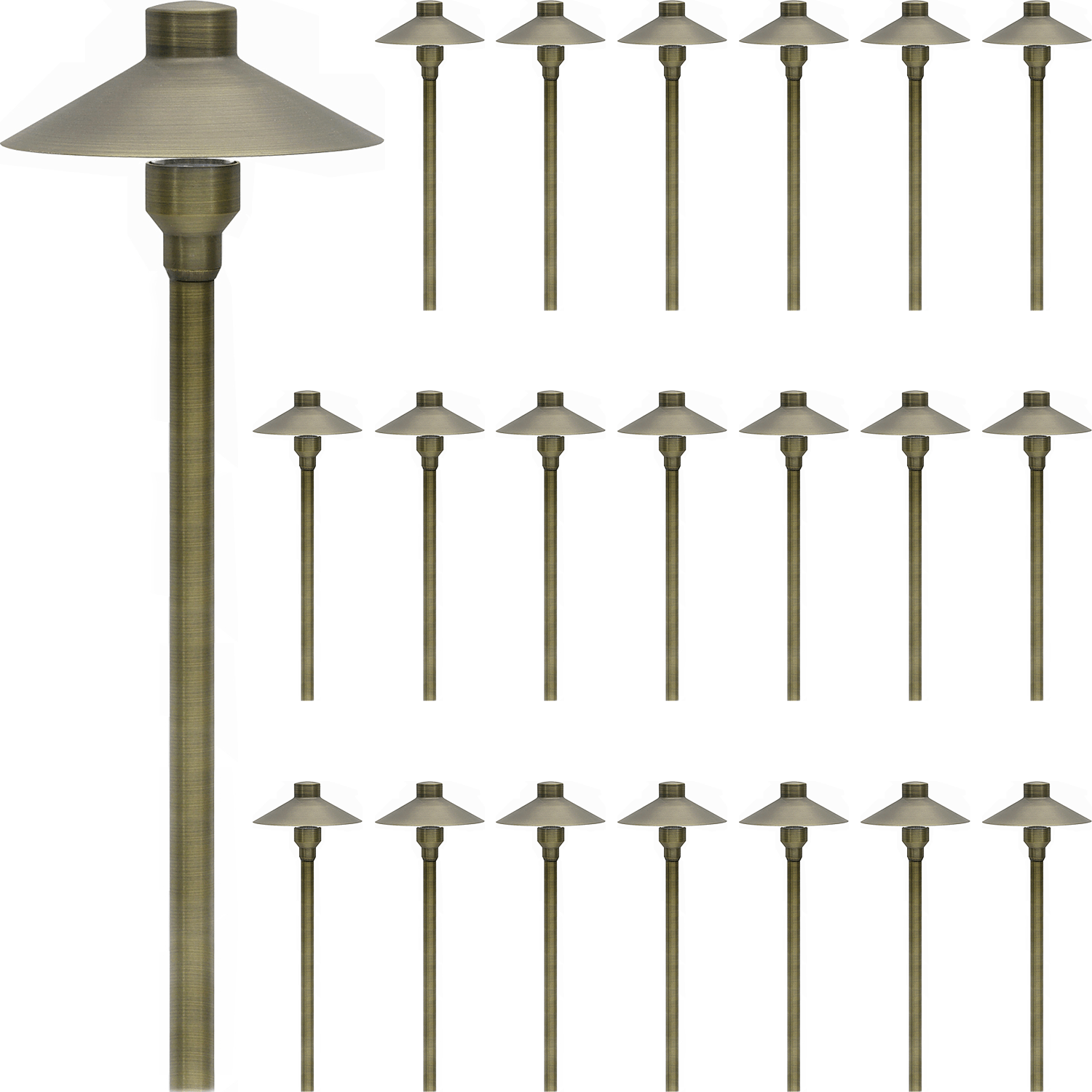 What voltage options are available for the light?