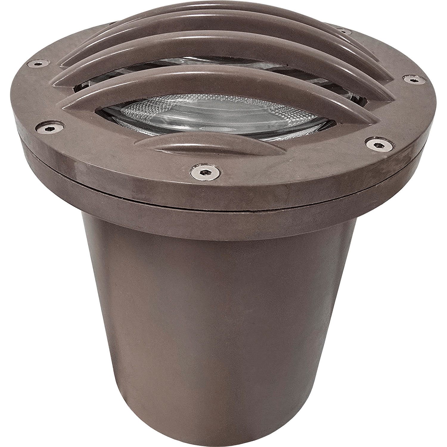 What control options are available for the light fixture?